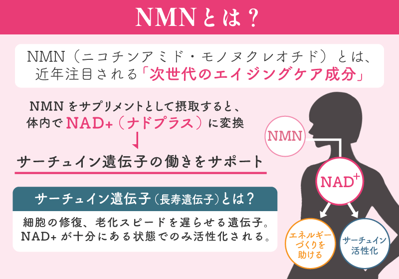 NMNとは？「若返りの鍵」NAD+を増やす成分