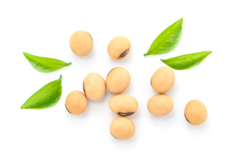 女性ホルモンを整える成分として代表的な、大豆イソフラボンを含有する大豆のイメージ。