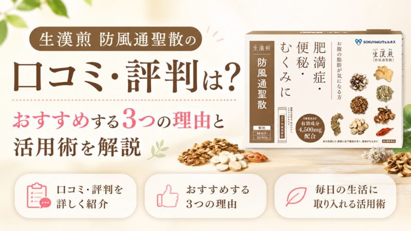 生漢煎 防風通聖散の口コミ・評判は？おすすめする3つの理由と活用術を解説 