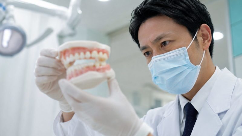 マウスピース矯正の治療計画を立てる歯科医師が歯列模型で歯並びの状態を確認する様子。